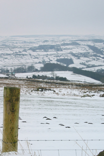 Snowy Hills