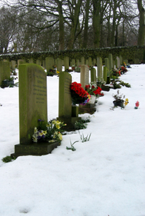 Grave Stones