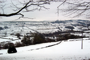 Lower Bradfield View